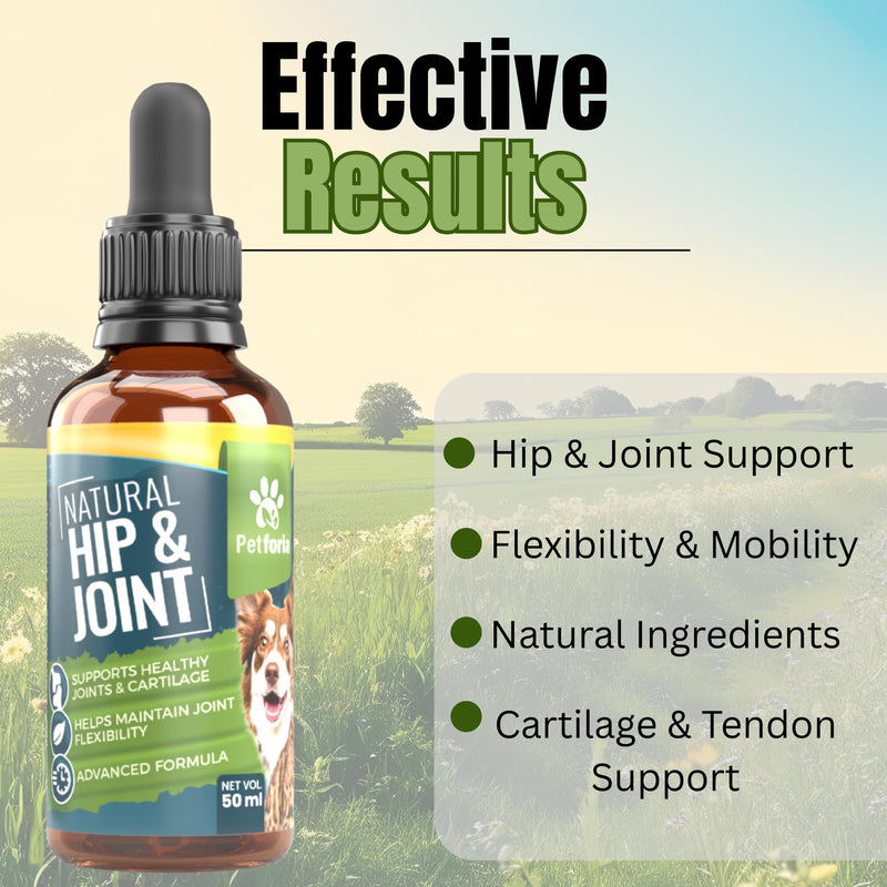 Dogs & Cats Joint and Hip Support Supplement 50ml – Fast Acting Natural Mobility Formula with Glucosamine Vitamin C and Herbal Extracts for Comfort Flexibility and Joint Care Pack of 1