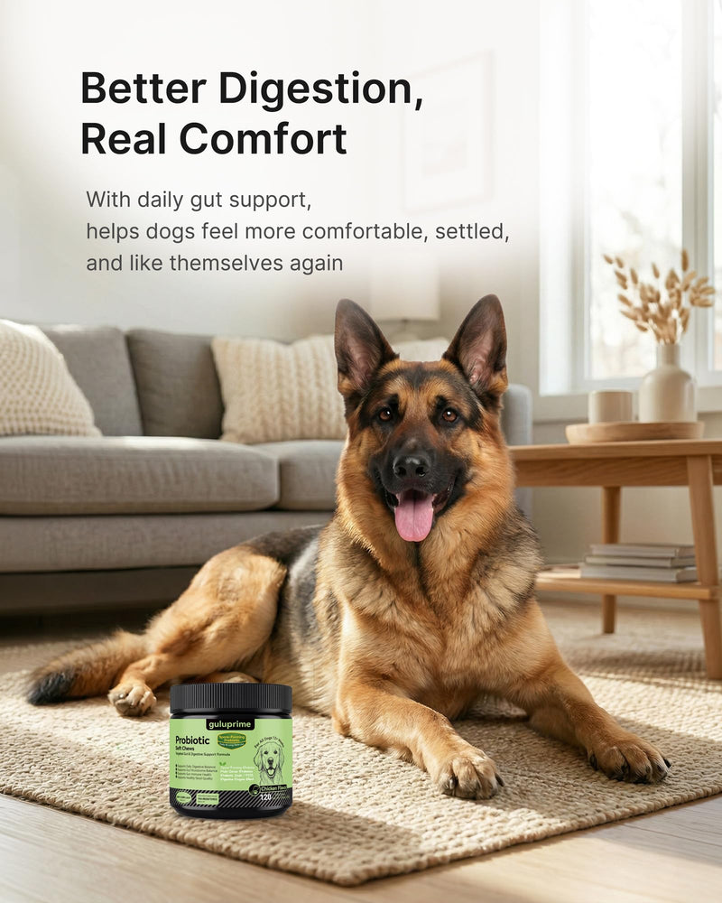 Probiotics for Dogs - Dog Probiotics Digestive Health Support, Dog Probiotic Chews with Spore-Forming Bacillus Coagulans, Prebiotic Inulin & Digestive Enzymes, Chicken Flavor, 120 Soft Chews