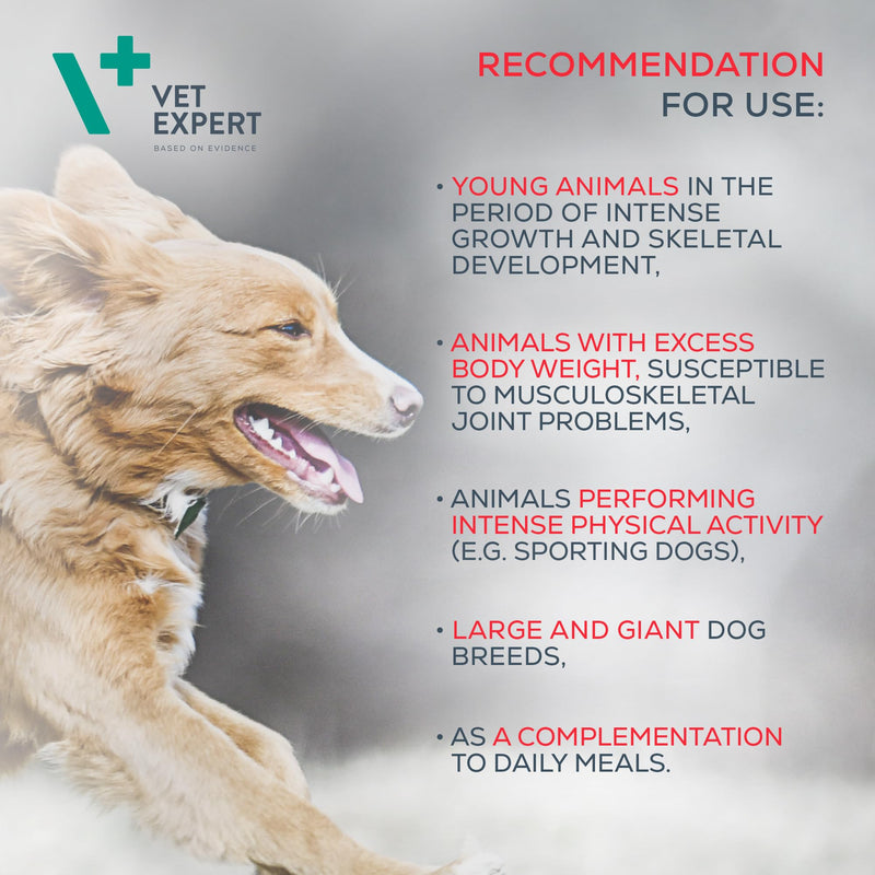 Vet Expert Joints & Mobility Supplement for Dogs and Cats – Supports healthy joints with Glucosamine, Chondroitin, Hyaluronic Acid, Vitamins C & E, and Manganese – 30 Twist-Off Capsules