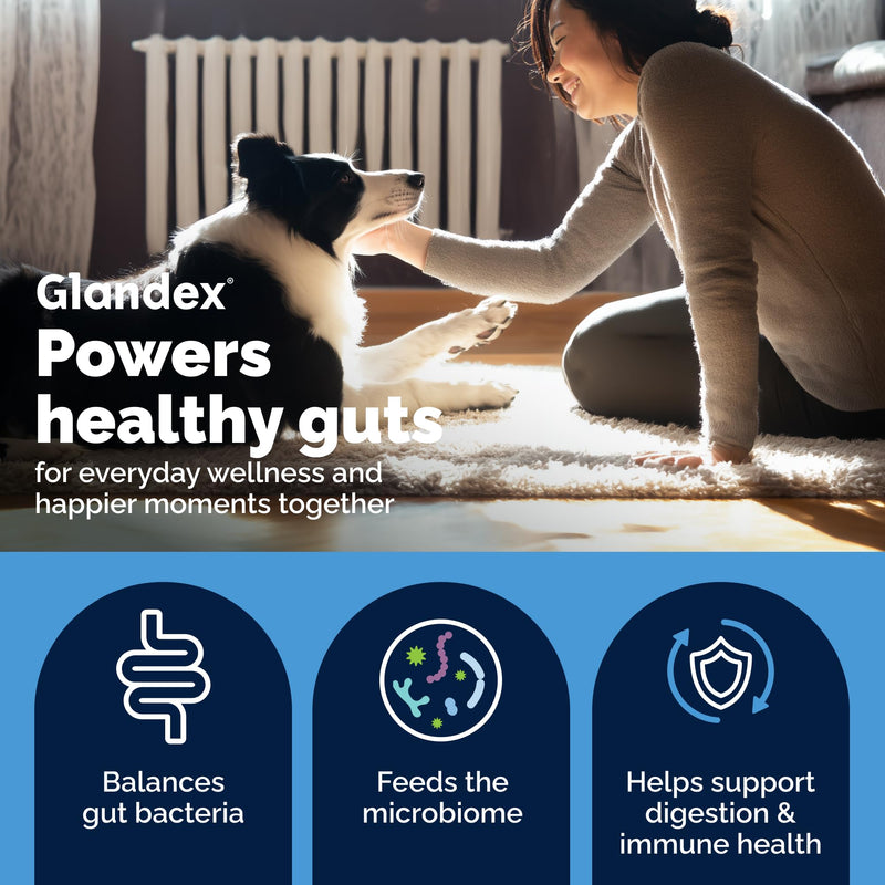 Vetnique Glandex for Dogs Prebiotic & Probiotic Supplement Chews 30 Count Bacon Flavor Plus Glandex Anal Gland Support Chews 30 Count Peanut Butter Flavor Bundle, 5-Strain Probiotics for Dogs