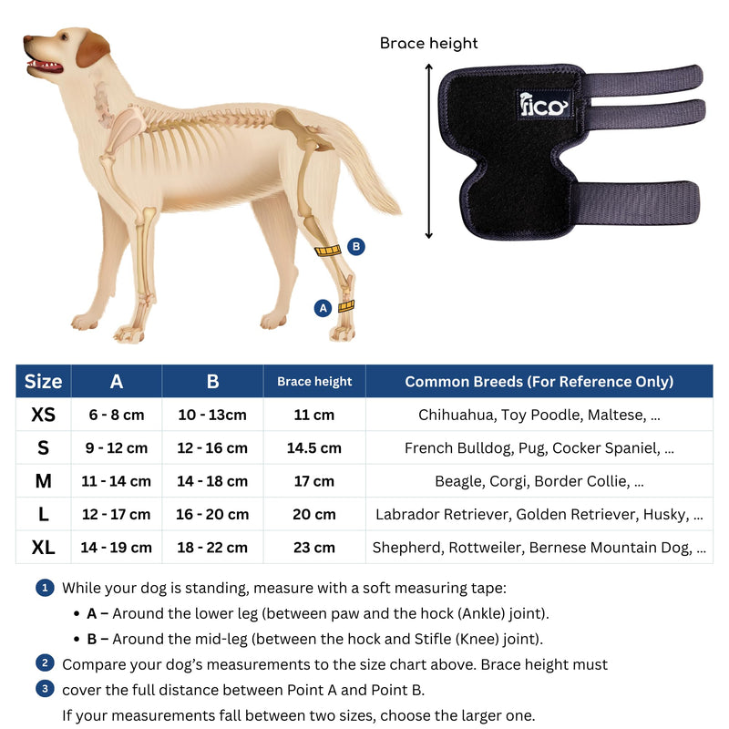 Dog Hock Brace for Ankle Support & Arthritis, Vet Approved Dog Back Leg Brace, Adjustable with Removable Splints, Orthopedic Support for Injuries, Sprains & Post-Surgery Recovery (X Large) X Large