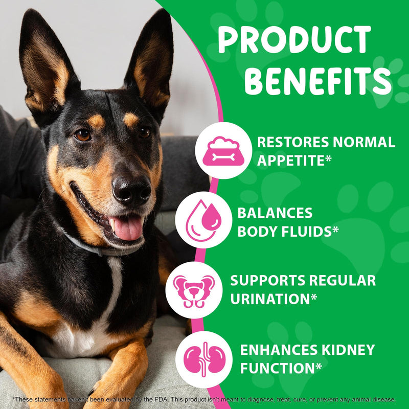 Bladder & Kidney Support for Dogs, 100% Natural Urinary Tract Treatment for Dogs 60ml, Supports Healthy Kidney Function and UTI Care Dog with Rehmannia, Immune System Booster Dog with Radix Astragali