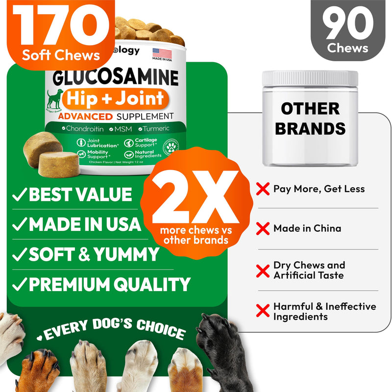 Glucosamine for Dogs - Hip and Joint Supplement for Dogs - 170 Mobility Chews - Glucosamine Chondroitin - MSM - Turmeric - Joint Pain Relief - Advanced Support for Dog Health - Made in USA 170 Chews Glucosamine Chews