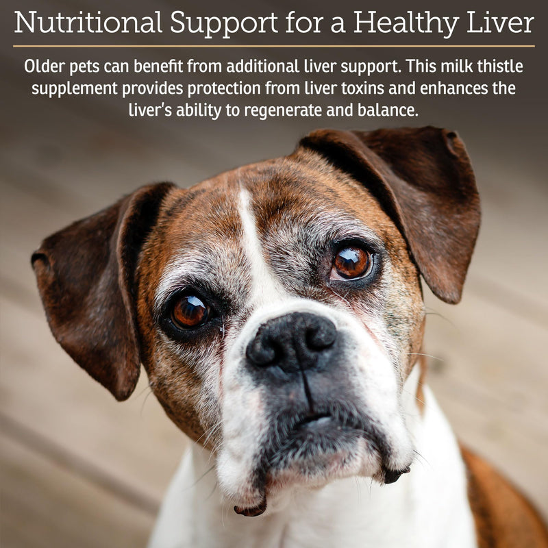 Rx Vitamins Liquid Hepato Support for Dogs & Cats - Liver Support Supplement with Milk Thistle for Dogs (Silymarin & Silybinin) and Vitamin B - Bacon Flavor (4oz) New Label