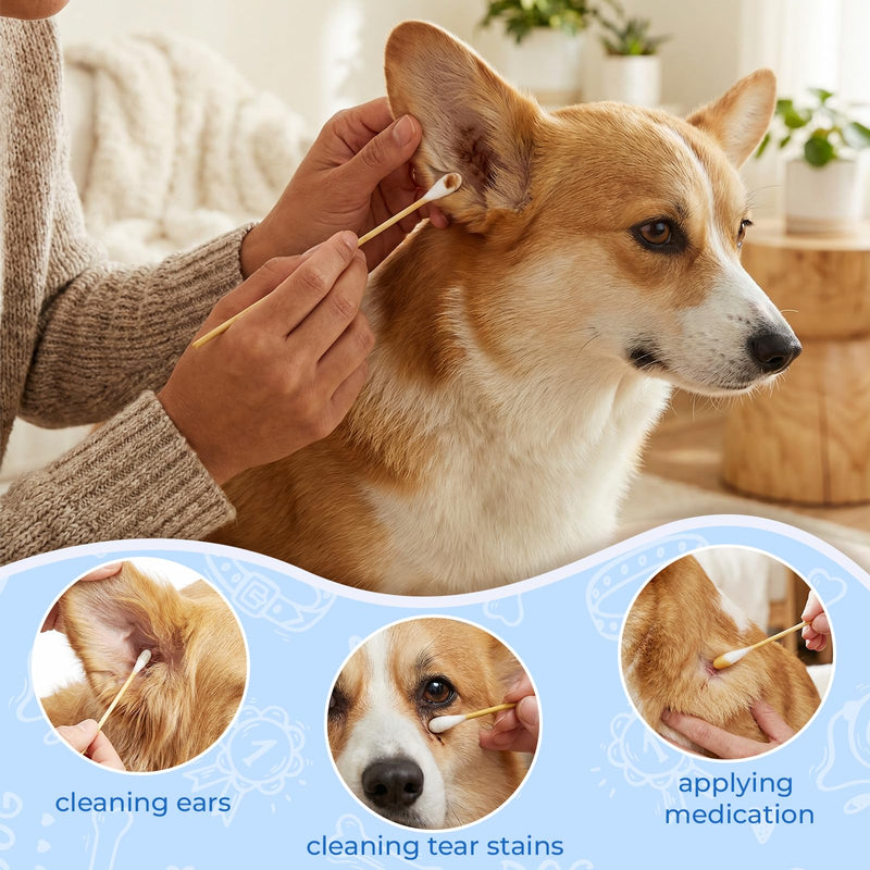 6 Inch Large Cotton Swabs for Dog Ear Cleaning - Extra Long Handle Dog Ear Swabs, Soft & Absorbent Big Cotton Tips, Perfect for Pet Care & Daily Grooming (100 Pcs) 1 pack 100 pcs