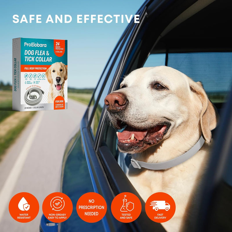 Dog Flea Tick Prevention Collar: Effective Flea Collar and Prevention for Dogs - Safe Dog Ticks Fleas Collars - Reliable Tick Flea Collars for Dogs - 24 Month Protection 4-Pack… 4 Pack - BeesActive Australia
