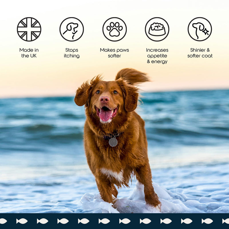 Puptons Norwegian Salmon Oil for Dogs & Cats | 500ml, Contains 21 Omega Fatty Acids | Fish Oil Supplement for Glossy Coat, Immune Support, Itchy Skin, Softer Paws, Joint & Brain Health | 500ml 500ml (without pump)