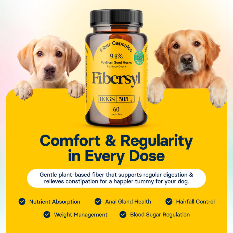 FiberSyl Prebiotics for Dogs Digestive Health - Dog Fiber Supplements for Constipation Relief & Support - Psyllium Husk Seed for Dog' Digestion Problems - Dog Stool Hardener - 60 Capsules