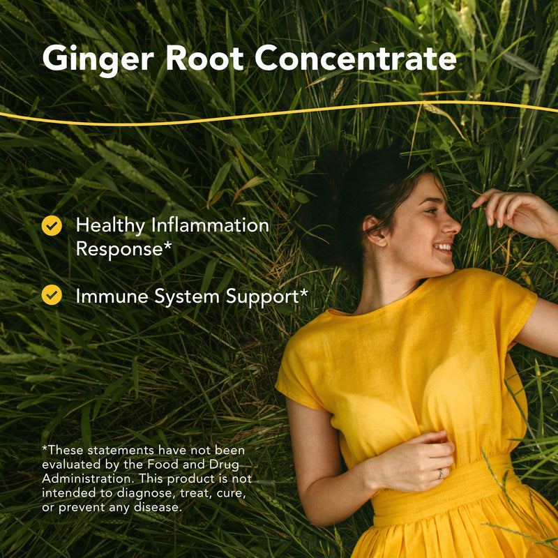 NORTH AMERICAN HERB & SPICE Inflam-eeZ - 90 Capsules - Supports Healthy Immune & Inflammatory Response - Ginger Root, Camu Camu Berries, Bromelain & Papain Plus - Non-GMO - 45 Total Servings