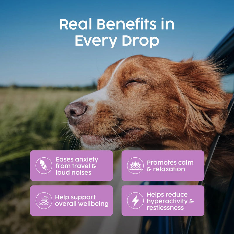 Valerian Dog Calming Drops - 100% Natural Herbal Dog Anxiety Relief Calmer, Skullcap and Valerian Drops for Dogs, Use for Stress, Separation, Sleep & Fireworks Calming for Dogs | 50ml