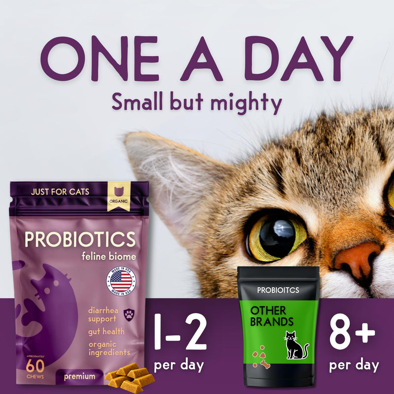 PURPLE CAT Feline Biome Probiotic Treats for Cats – Cat Gut & Digestive Support, Pet Diarrhea Relief & Immune Health – Feline-Specific Strains, Healthy Treats, Real Chicken Liver Flavor – 60 Chews