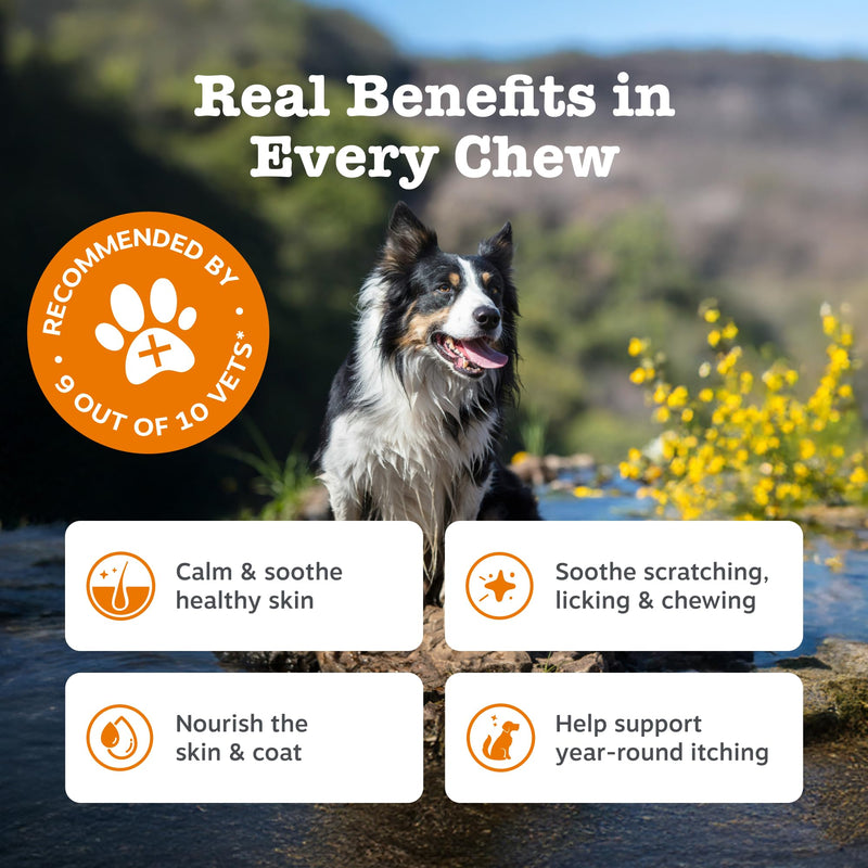 Zesty Paws Anti-Itch Chews for Dogs | Soothes Itchy Skin, Paws & Ears from Licking & Scratching, Helps Immune Function, Skin & Gut Health | Contains Salmon Oil & Probiotics | Daily Use | 90 Chews 90 Count