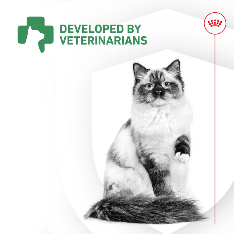 Royal Canin Probiotics for Cats Digestive and Immune Health Powder Supplement for Cats of All Ages, 30 Count
