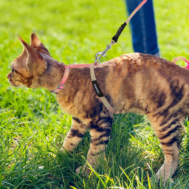 TIESOME Cat Harness with Leash and Collar Set, Adjustable Gradient Kitten Harness, Escape Proof Harness with Leash for Kittens Walking Outdoors (Orange and Yellow) Orange Yellow - BeesActive Australia
