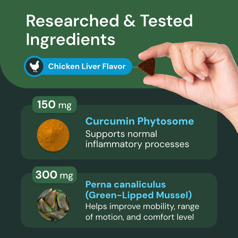VetriScience VetriFlex Canine Formula - Active Joint Support Supplement for Dogs - Wellness Bites Support Comfortable Movement & Joint Relief - Agility & Flexibility Aid for Dogs - 60 Chews - PawsPlanet Australia