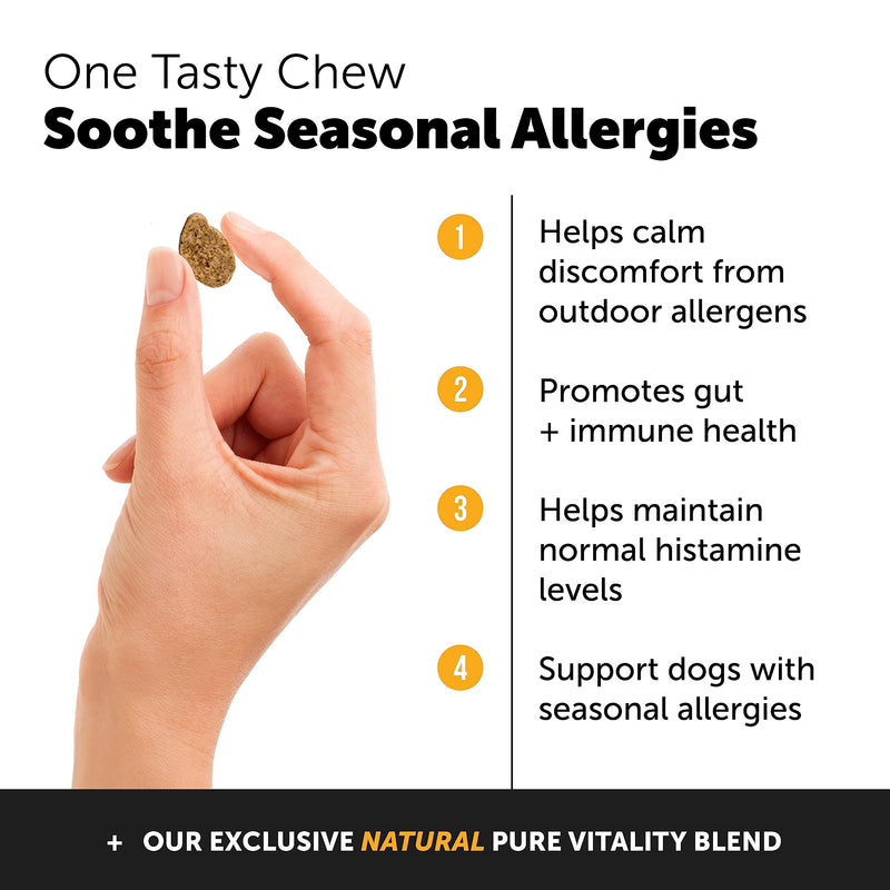 PetHonesty 10 in 1 Multivitamin + Allergy Support Soft Chew Supplement Bundle - Skin & Seasonal Pollen Allergies - Itch Relief for Dogs - Joint, Digestive, Heart, Skin, Coat & Immune Support Vitamin - PawsPlanet Australia