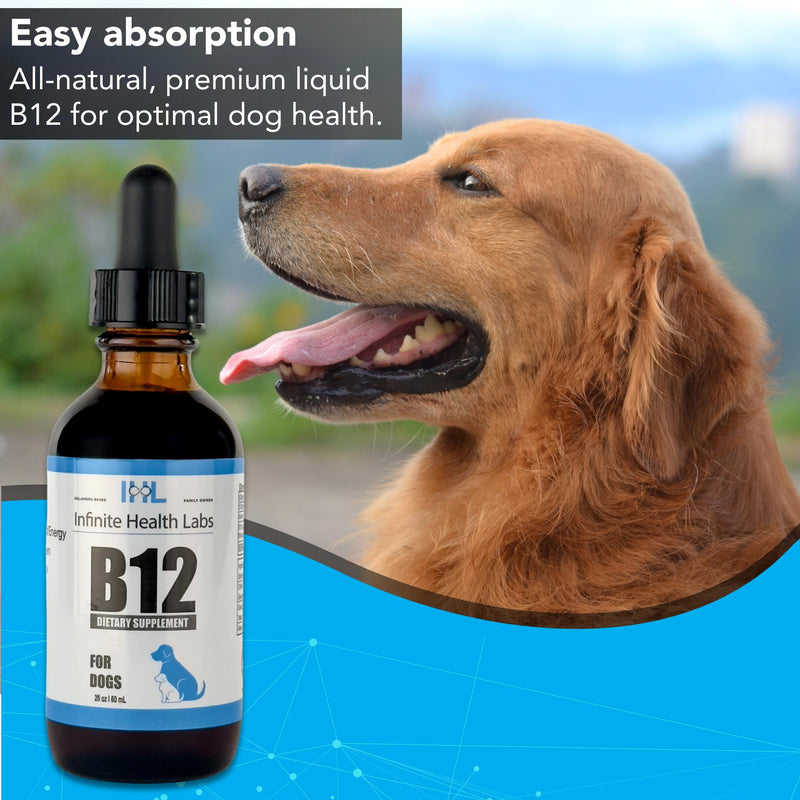 Liquid Vitamin B-12 for Dogs - Methylcobalamin Liquid Supplement for Pets - Dog Vitamins for Medium & Large Breed - Pet Vitamins and Supplements - Dog Multivitamins Liquid - PawsPlanet Australia