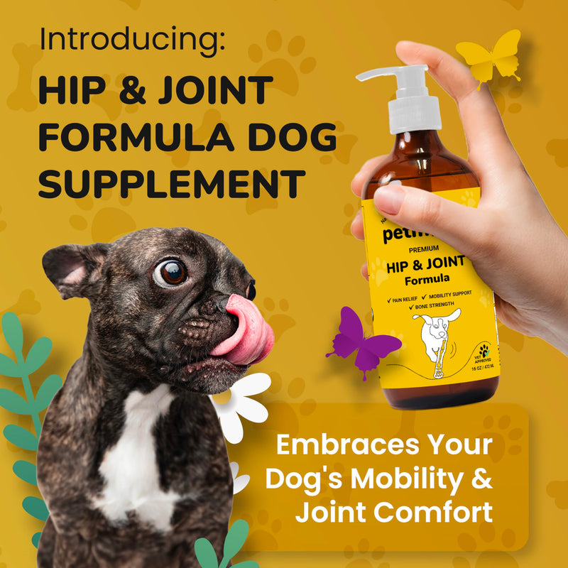 Dog Hip and Joint Supplement - Junior and Senior Dog Supplements for Mobility, Flexibility Support and Bone Strength, Deluxe Glucosamine Chondroitin for Dogs, 16 oz - PawsPlanet Australia