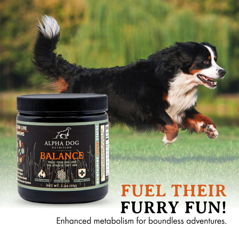 Balance Probiotic Blend for Dogs by Alpha Dog Nutrition - PawsPlanet Australia
