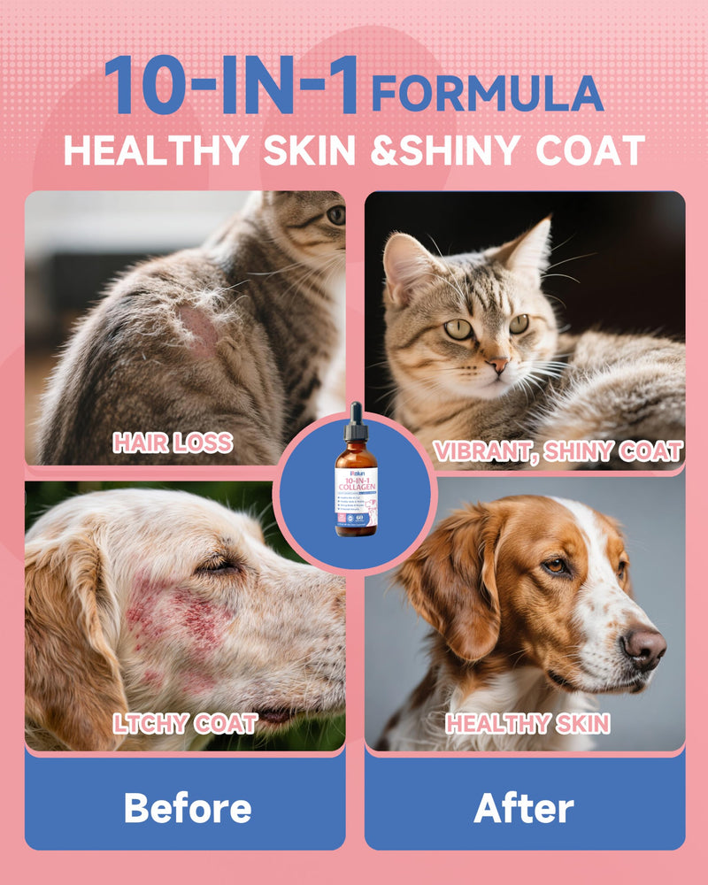 Collagen for Dogs & Cats - Skin and Coat Supplements- Joint Supplements - Support Digestion & Gut Health - with Collagen Peptides MSM, Omega 3 Hyaluronic Acid, Biotin - Roast Chicken Flavor