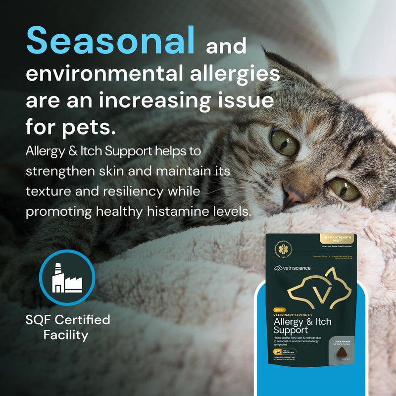 VetriScience Veterinary Strength Allergy & Itch Support Chews - Seasonal Allergy Support Supplement for Pets - Pet Skin Sensitivity Support - Cats & Dogs - Duck Flavor - 60 Chews