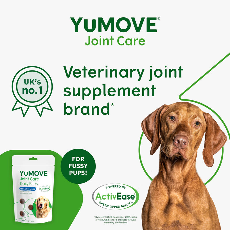 YuMOVE Senior Dog Joint Supplement, Daily Bites for Joint Care, Essential Dog Hip and Joint Aid for Senior Dogs with Glucosamine, Chondroitin, Green Lipped Mussel, Aged 8+, 60 Chews Non-Eco