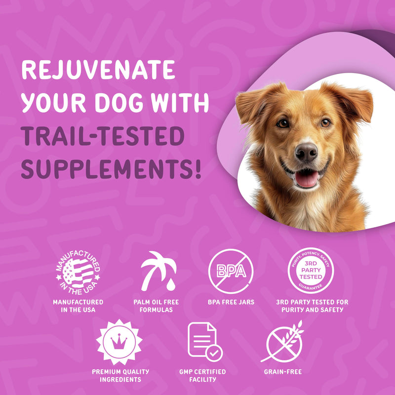 Waggedy Advanced Dog Probiotics Gut and Digestion Food Topper – Probiotic Powder with Digestive Enzymes & Papaya – Gentle Probiotics for Dogs 6+ Weeks – Supports Gut Balance, Comfort & Immune Health 4 oz