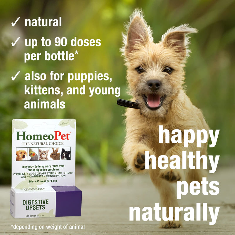 HomeoPet Digestive Upsets, Natural Pet Digestive Support, Digestive Supplement for Dogs, Cats, and Small Pets, 15 Milliliters 15mL - BeesActive Australia