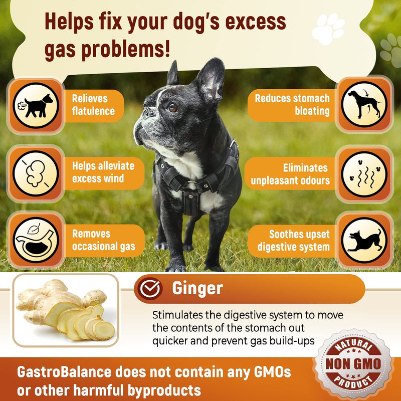 flatulence relief for dogs natural remedy to cure dog wind farts (Bacon flavour) Bacon flavour