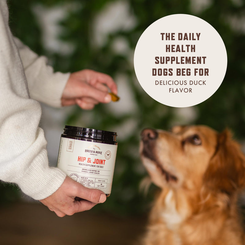 Rocco & Roxie Joint Supplement for Dogs, Glucosamine Hip and Joint Chews, Dog Joint Supplement Large & Small Breed, Senior Dog Vitamins to Support Mobility, Chondroitin, MSM, Dog Health Supplies 90 ct 90 Count - PawsPlanet Australia