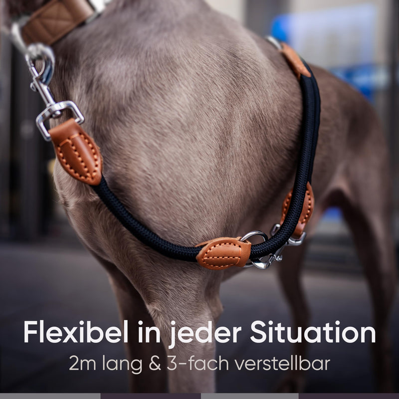FREUDENTIER dog leash 2m - 3-way adjustable - Robust nylon rounded off with stylish brown leather elements - Leash for medium & large dogs (black) Black - BeesActive Australia