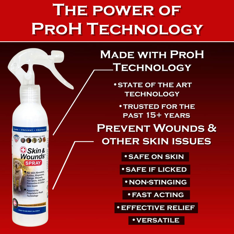 Show Out Skin & Wounds Spray for Dogs — Helps Control Dog Mange & Itchy Skin | Natural Relief for Hot Spots, Ringworm & Dermatitis | Gentle, Vet-Level Care (8 oz)