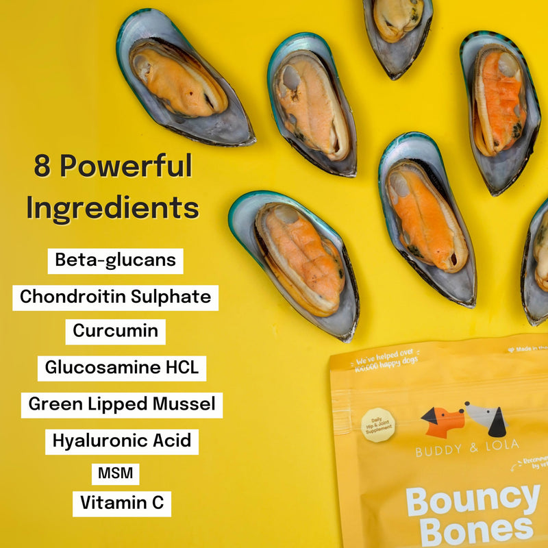 Buddy & Lola Joint Supplements For Dogs With Glucosamine, Chondroitin, Green Lipped Mussel - 10 Key Dog Vitamins, Bouncy Bones Helps with Pain Relief, Joint Support & Stiff Joints 120 g