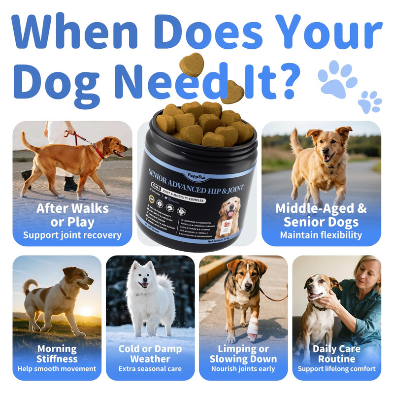 Senior Advanced Joint Supplement for Dogs – 17-in-1 Glucosamine for Dogs with Chondroitin – Hip & Joint Pain Relief Pills – Mobility Support Chews – Large & Small Breeds - Beef Flavor – 90Ct 90 Count (Pack of 1)