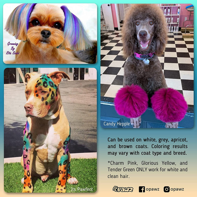 OPAWZ Permanent Dog Hair Dye, Pet Hair Dye Safely Used by Grooming Salons for a Decade, Pet Safe Dye Lasts Over 20 Washes, Bright Color for Dogs and Horses (Adrian Pink) Adrian Pink - BeesActive Australia