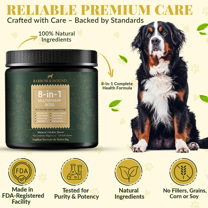 Barrow & Hound - 8-in-1 Multivitamin for Dogs – 120 Soft Chews with Glucosamine, Omega 3, Probiotics, Vitamins A–C–D–E & B-Complex – All-in-One Daily Health Supplement – Natural Chicken Flavor