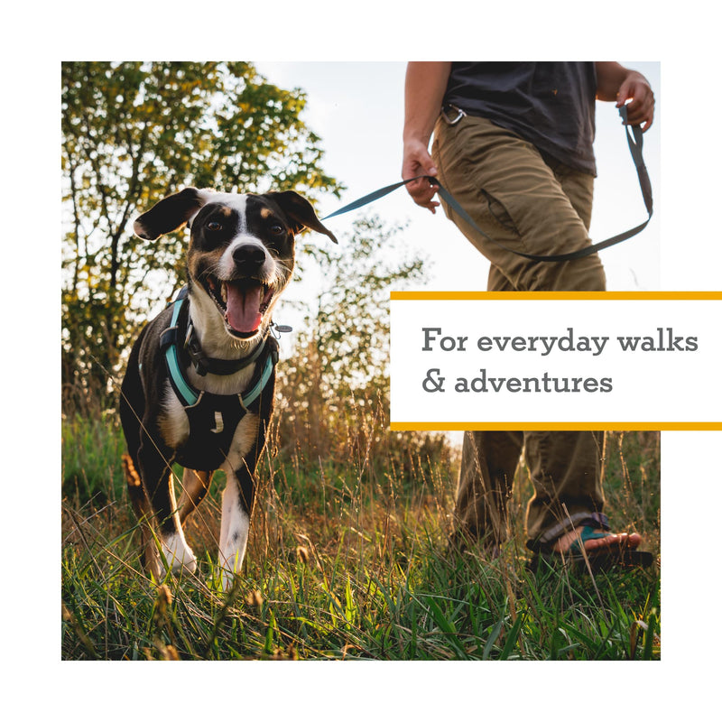 Ruffwear, Hi & Light, Everyday Lightweight Dog Harness, Trail Running, Walking, Hiking, All-Day Wear, Alpenglow Pink, Small - BeesActive Australia