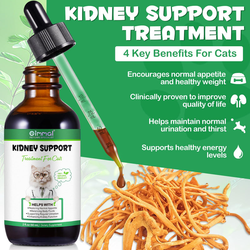 Kidney Support for Cats, Cat Kidney Treatment Support Normal Kidney Function, Increase Immunity, Herbal Supplement Supports Healthy Kidney Function, 60ml