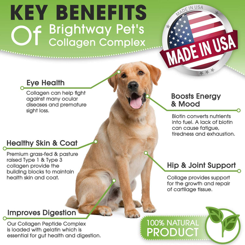 K9 Collagen PEPTIDE Complex W/BIOTIN - Hip & Joint Supplement for Dogs- Supports Healthy Joints, Skin & Coat – Helps in Recovery & Repair– 3+ Months Supply - Over 114 Servings! - PawsPlanet Australia