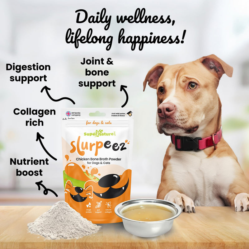Supernature Slurpeez Chicken Bone Broth Powder for Dogs & Cats 250g | 100% Pure Single Protein Chicken for Dogs & Cats, Food Topper for Picky Eaters, Enrichment, Collagen, Joint & Gut Health