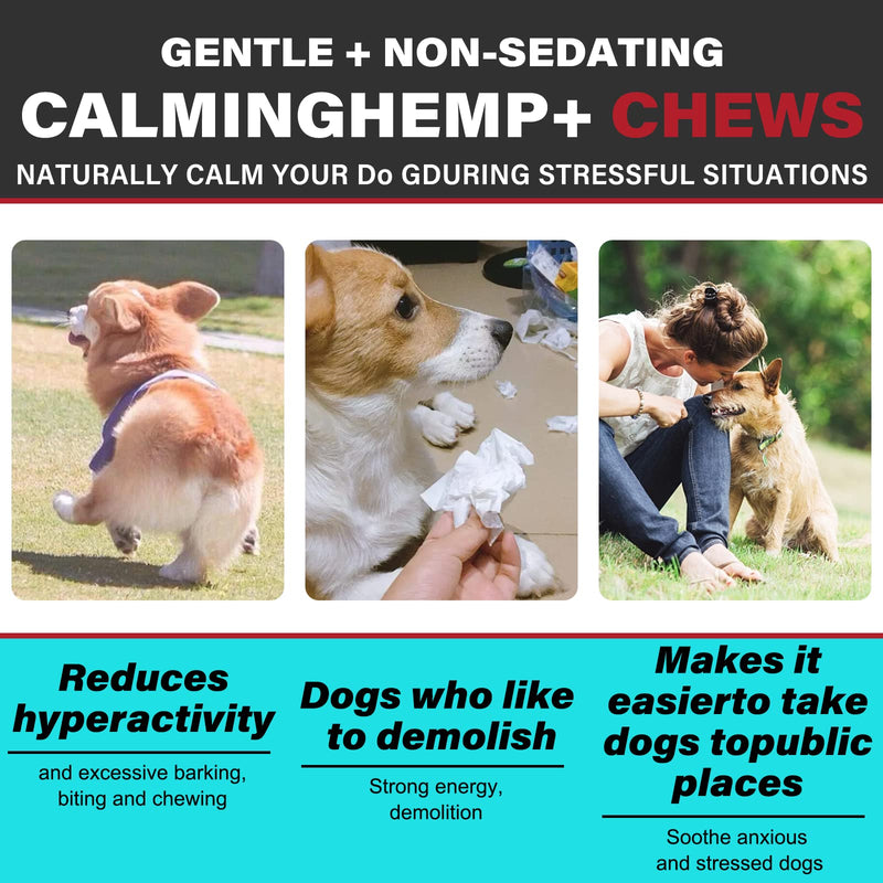 Hemp Calming Chews for Dogs, Dog Calming Treats, Dogs Anxiety Relief Treats, for Fear, Separation Anxiety, Barking, Hyperactivity, Reactivity, Aggression, Chicken Flavor, 110pcs (Bacon Flavor)