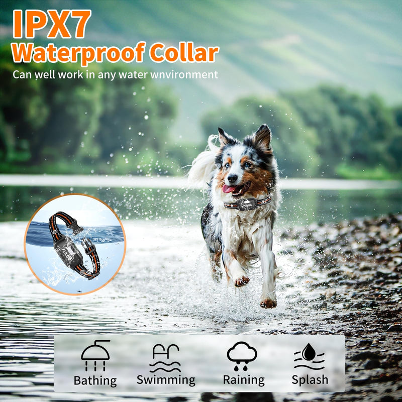 Dog Shock Collar with Remote and Led, 3300FT Dog Training Collar for 8-130Lbs Small Medium Large Dogs, IPX7 Waterproof Electric Collar with Beep, Vibration & Safe Shock, E-Collar for Dogs Training - BeesActive Australia