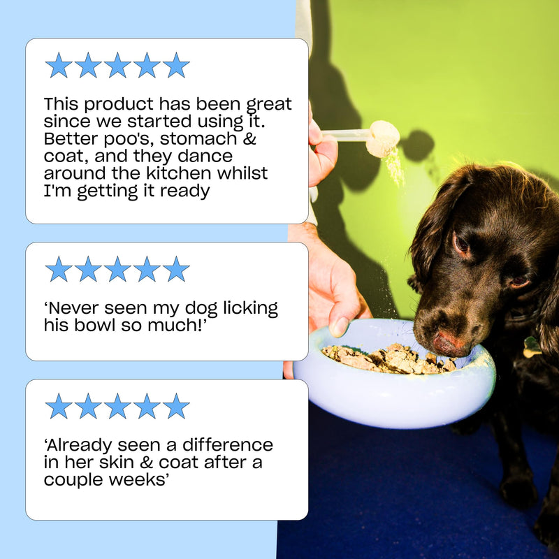 Grub Club Top-Dog All In One Dog Food Topper (300g - Up To 2 Months Supply) - Dog Health Supplement Topper With Glucosamine, Prebiotic Fibre, Probiotics For Dogs, Omega 3 & Vitamins - Made In The UK