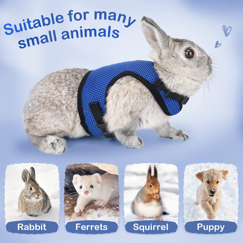 Pettom Bunny Rabbit Harness with Stretchy Leash Cute Adjustable Buckle Breathable Mesh Vest for Kitten Small Pets Walking (L(Chest:10.6-13.3 in), Blue) L(Chest:10.6-13.3 in) - BeesActive Australia