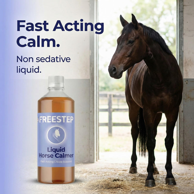 Liquid Composure | Horse Calmer Supplement | Fast-Acting Non-Sedative Liquid Calmer for Horses Calming with Chamomile & Vitex | Syringe or Mix with Feed 1l | 6 Week Supply