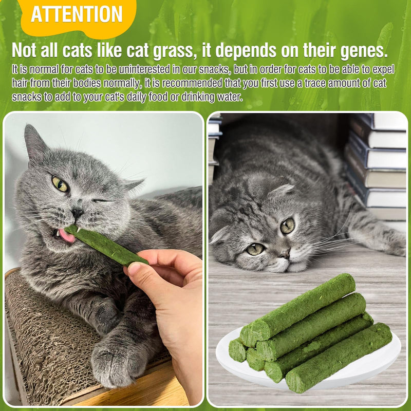 HavenJanny Cat Grass Teething Stick for Cat, Cat Grass Stick Canned for Indoor Cats, Cat Grass Treats Hairball Relief and Teeth Cleaning(1.76oz) 1.76oz - BeesActive Australia