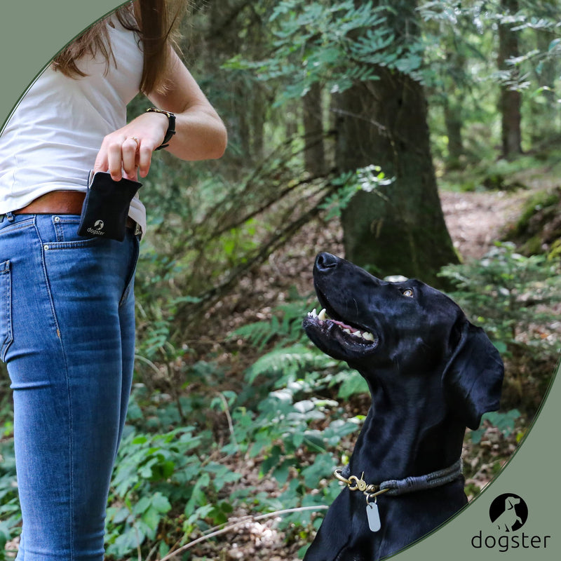 DOGSTER® treat bags for dogs - treats always with you - snack bag - quick access to reward - including carabiner - treat bag DOG01 - BeesActive Australia