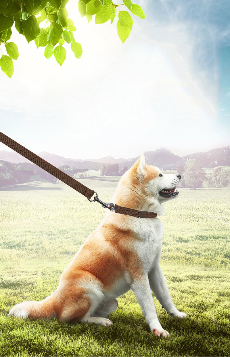 15ft 20ft 30ft 40ft 50ft Long Dog/Puppy Lead Obedience Recall Training Dog Leashes for Small Medium Dogs Camping, Training, Play, or Backyard (15 FT, Brown) 15 FT - BeesActive Australia