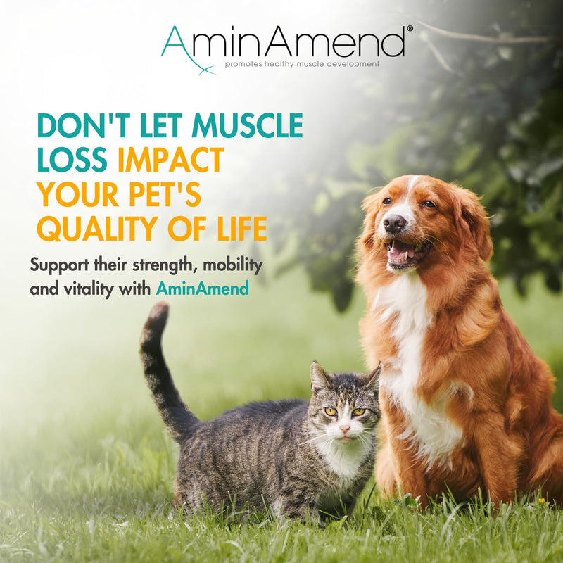 Muscle Support Pet Supplement for Small Dogs & Cats with CaHMB & Vitamin D3 – All Ages & Senior Dog Supplements for Muscle Strength, Mobility & Daily Activity – (30 Capsules, 2-Pack) 180 mg