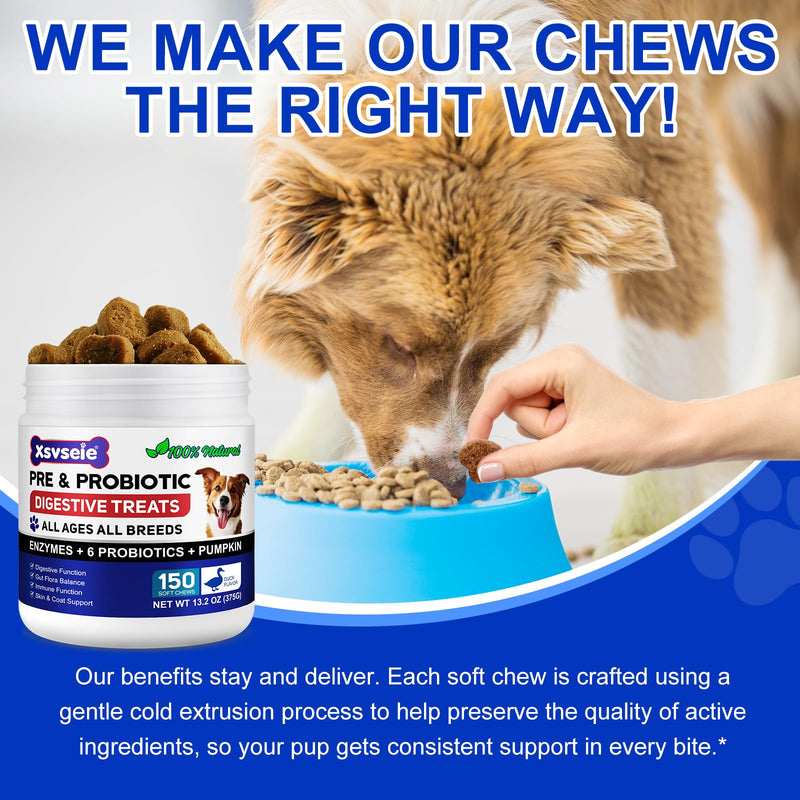 Probiotics for Dogs, Dog Probiotics for Gut Health, Dog Probiotic Supplements, dog probiotics and Digestive Enzymes with Prebiotics, Digestive Support & Itchy Skin Relief,Allergies,Reduce Diarrhea,Gas